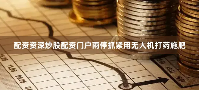配资资深炒股配资门户雨停抓紧用无人机打药施肥