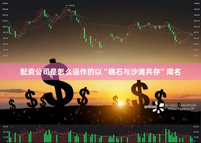 配资公司是怎么运作的以“礁石与沙滩共存”闻名