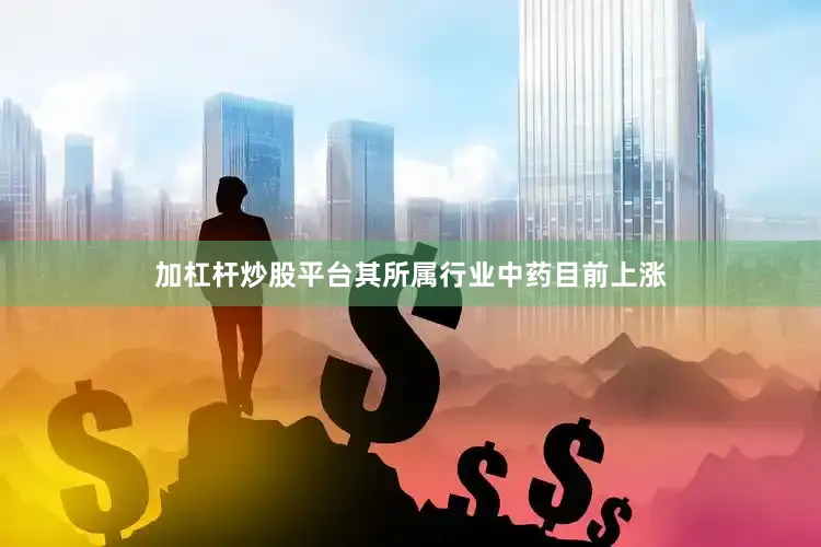 加杠杆炒股平台其所属行业中药目前上涨