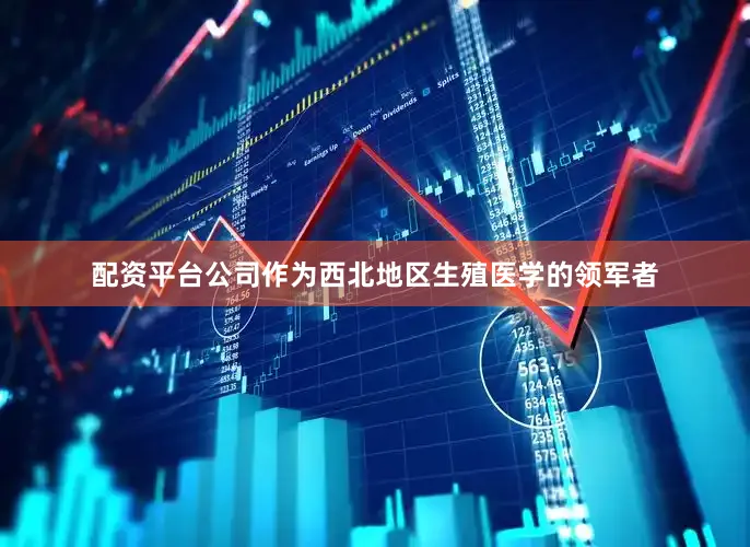 配资平台公司作为西北地区生殖医学的领军者
