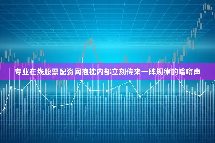 专业在线股票配资网抱枕内部立刻传来一阵规律的嗡嗡声